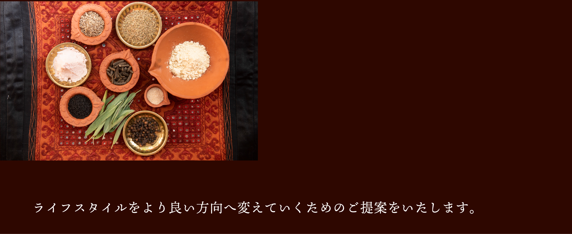 ライフスタイルコンサルテーション